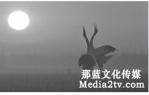 纪录片部落-高清纪录片下载:主旋律纪录片国家形象的国际化传播探究